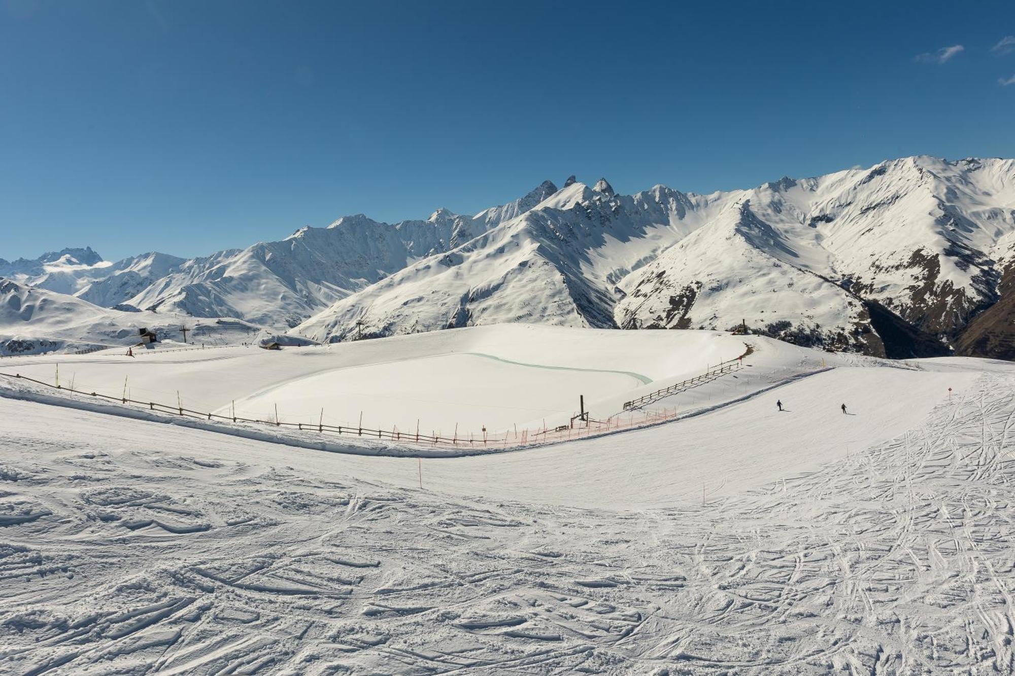 L'aigle