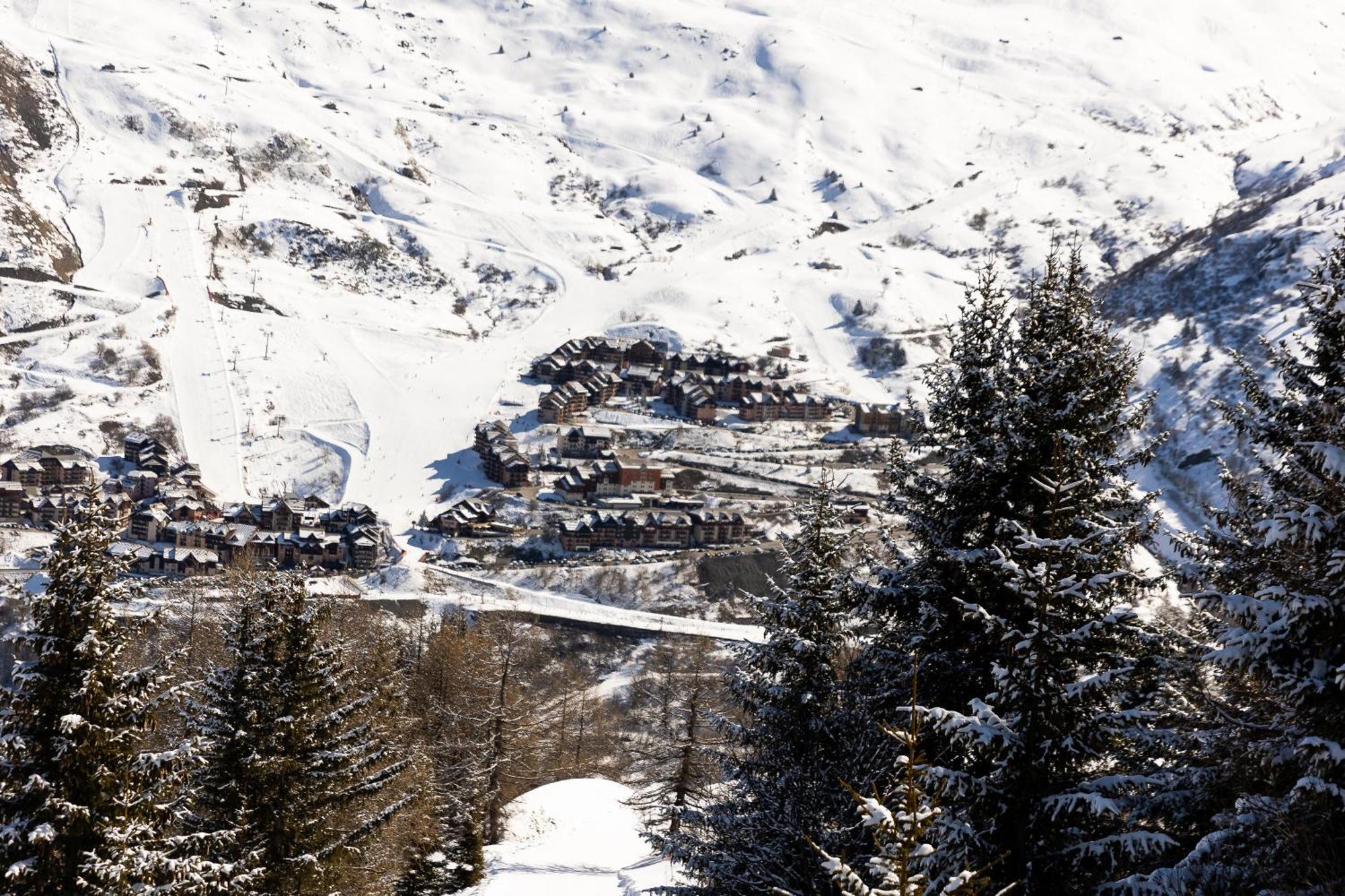 L'aigle